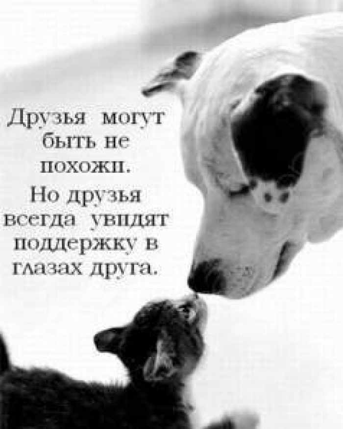 Www.drive2.ru/communities/swiftclub. p.s. - Друзья! заходите на личные стра Www.drive2.ru/communities/swiftclub. p.s. - Друзья! заходите на личные стра
